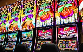 bn555 In-Play Cricket Betting