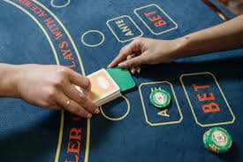 bn555 Live Casino